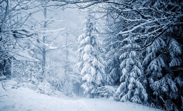 Invierno