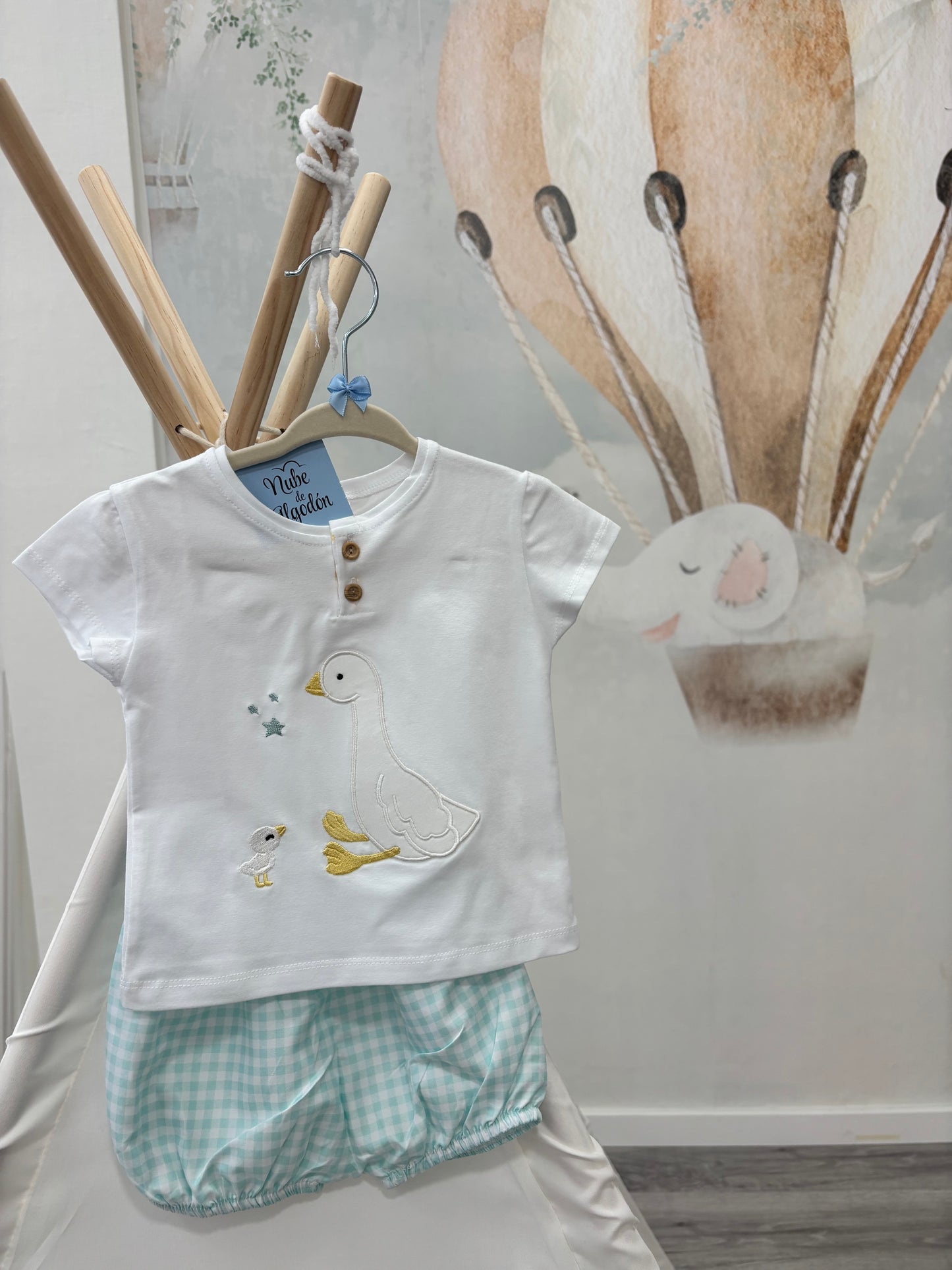 CONJUNTO CISNE NIÑO