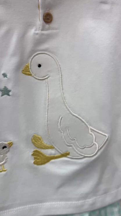 CONJUNTO CISNE NIÑO