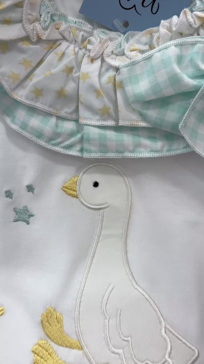 CONJUNTO CISNE